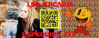 индика Бузулук