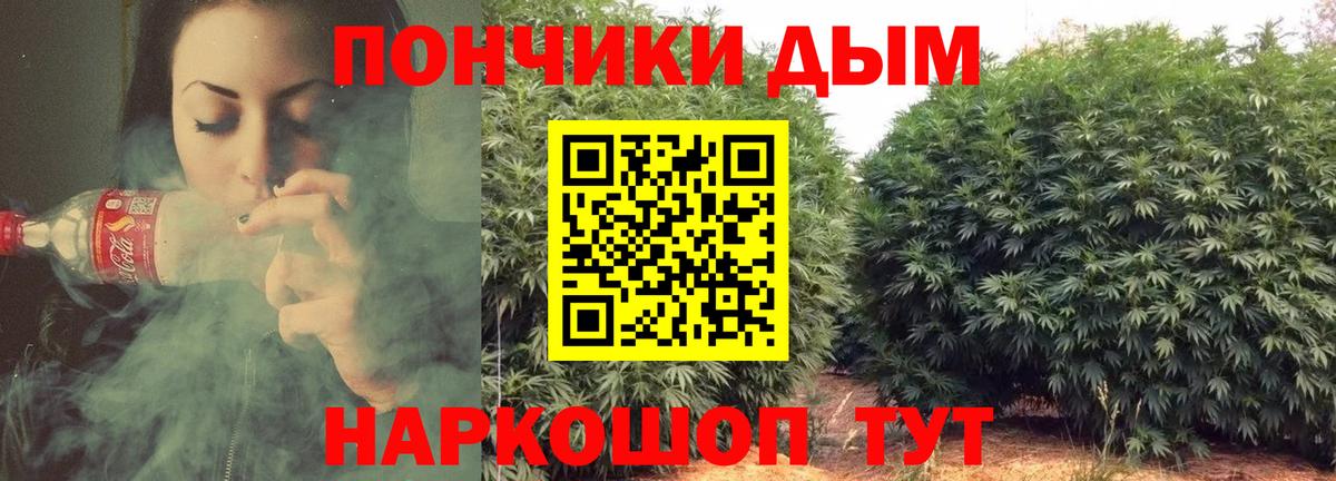 Унеча  Марихуана планчик  Шишки марихуана VHQ  Вход с VPN  Марихуана сатива 